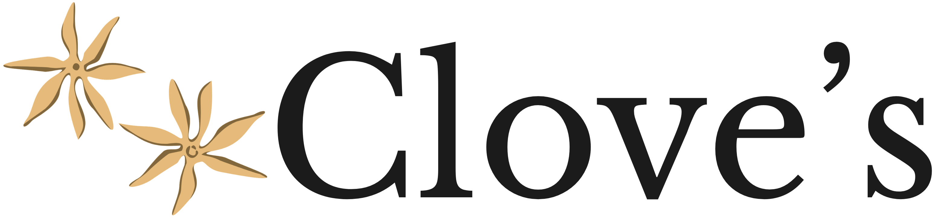 │Skin & Body Care logo